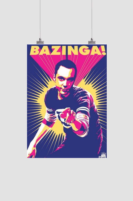 BAZINGAA!!! - dmonkeyfamily