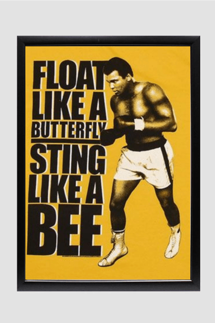 FLOAT LIKE A BUTTERFLY . A3/A4 - dmonkeyfamily